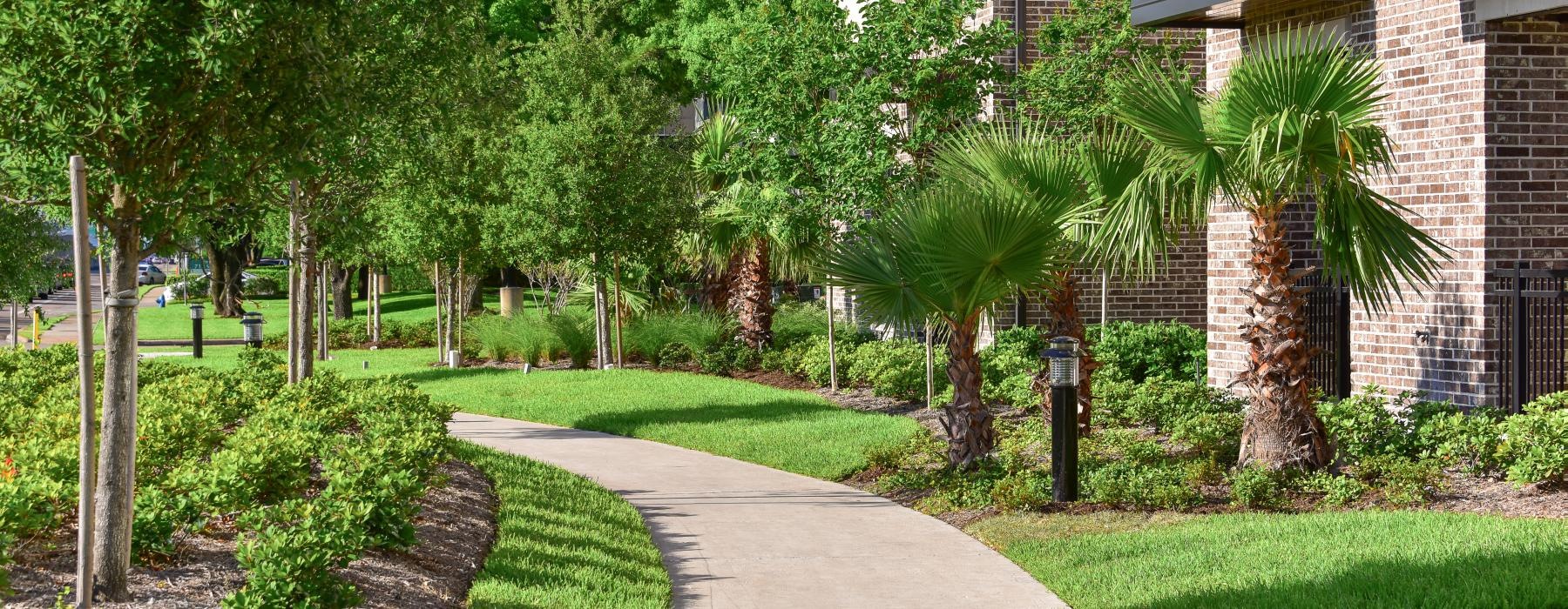 a path with trees and grass by a building